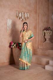 Np Saree  DN 9747A TO 9747D